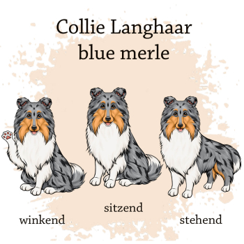 Motivauswahl für die Impfpasshülle Langhaarcollie blue merle